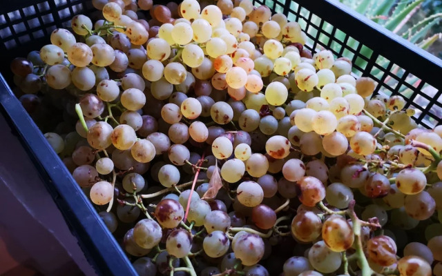 2nd Private Room in the Attic With Shared Bathroom use