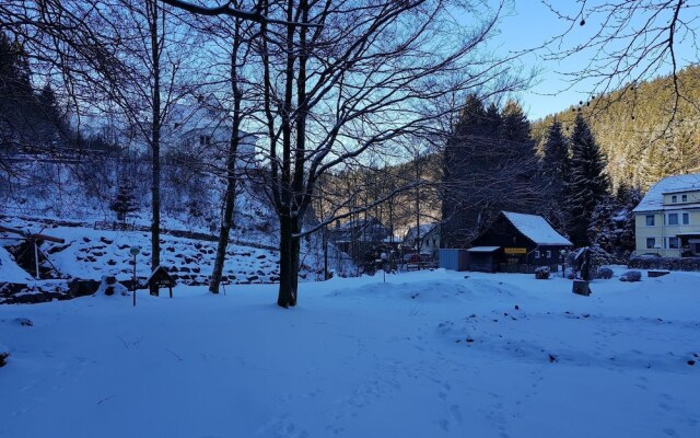 Spacious Apartment in Upper Harz near River