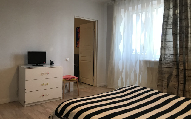 Apartment Tsentralnaya