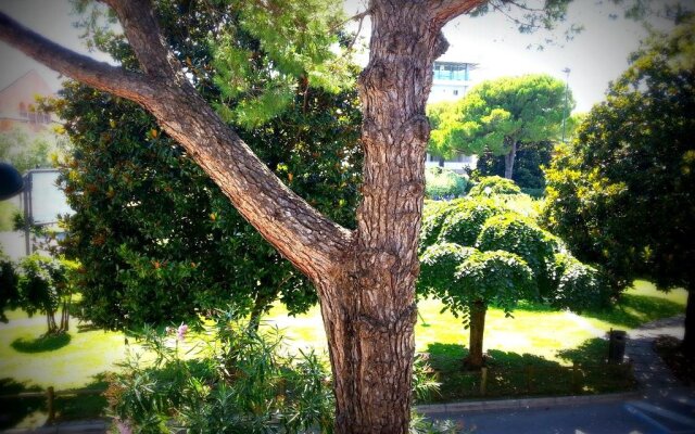 Pensione Zen