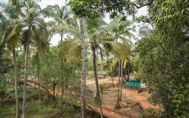 Hotel Arambol Arbour