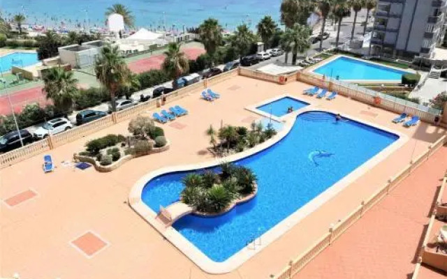 Apartamento 1 Dormitorio Playa