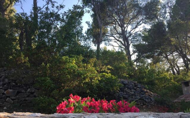 Vila Familia Hvar