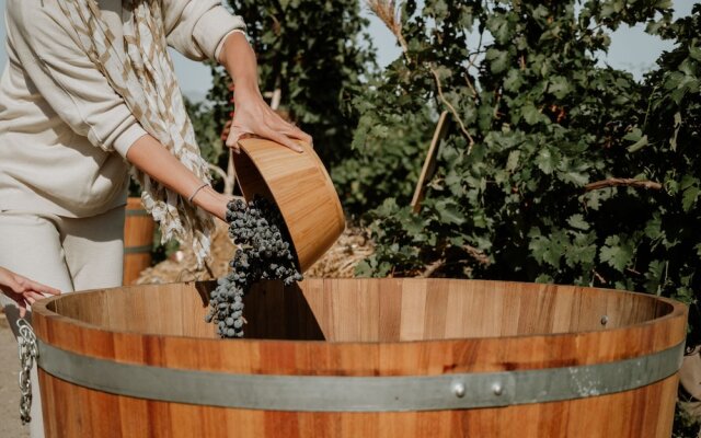 Maison & Chateau Copsa