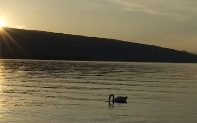 Baie DES Voiles - #203 Duplex Pieds Dans L'eau