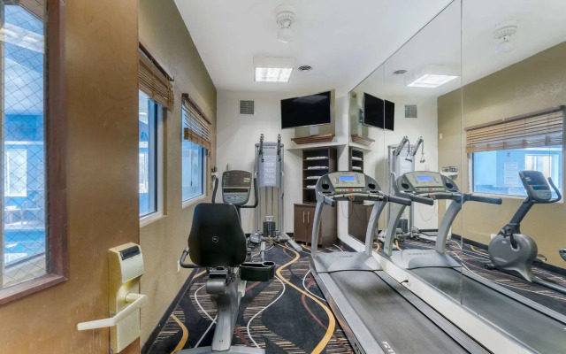 Spark by Hilton La Grange