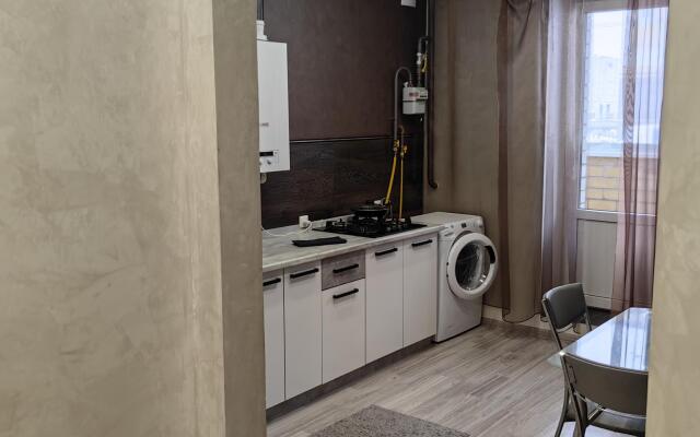 Apartments on Michurinskaya street 213G