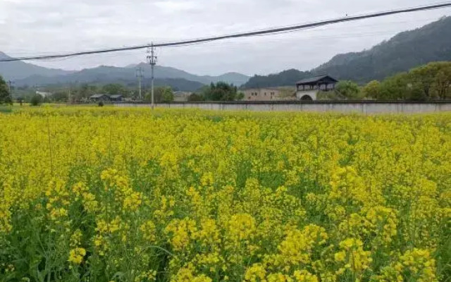 Wuyuan Wanling Inn (Jiangwan Scenic Area)