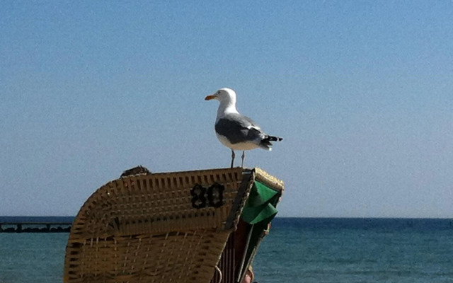 Sonnentraum in bester Lage