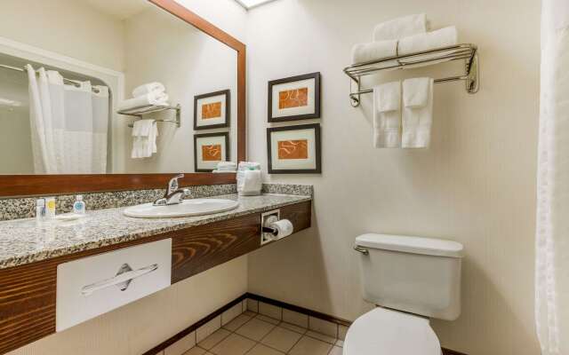 Comfort Inn Summerville - Charleston