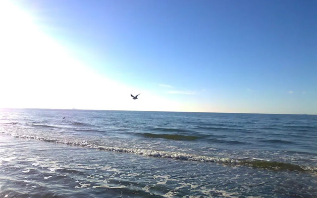 Serene Apartment in Mechelsdorf With Sea View