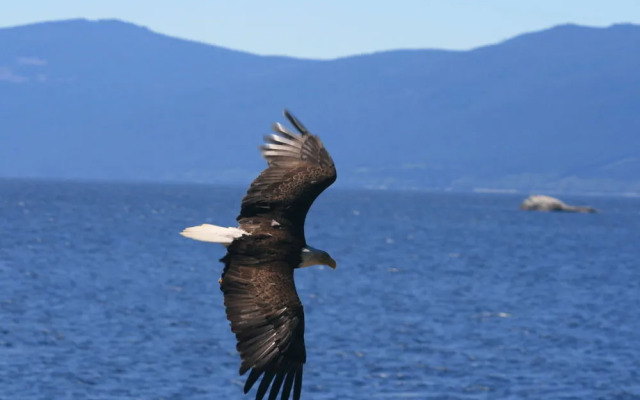 Stillwater Beach House Bed & Breakfast