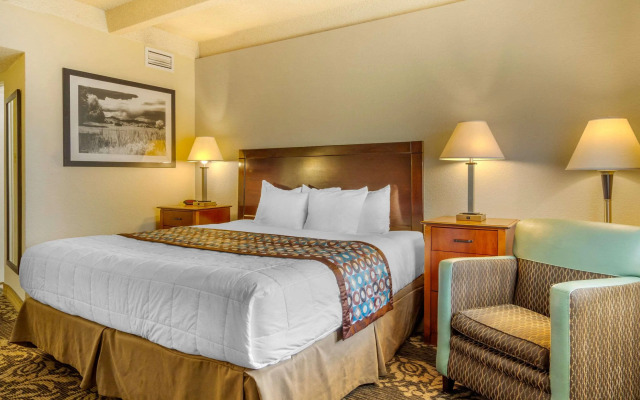 Budget Inn Denver Downtown