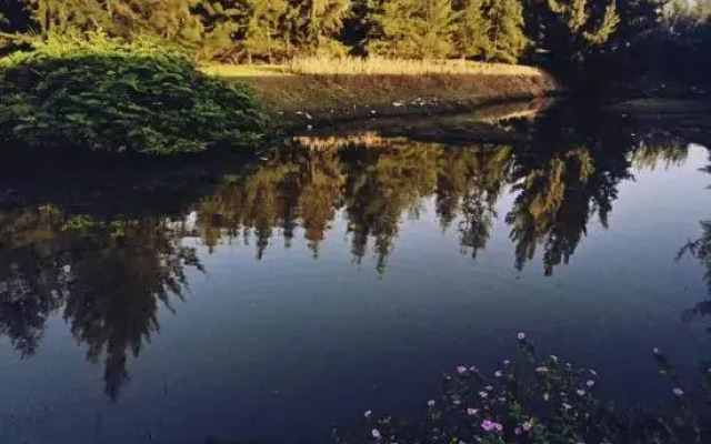 Carlton Express Hotel (Ledong Huangliuzhen Branch)