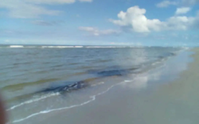 Dinkla 1 Comfortable Holiday Residence