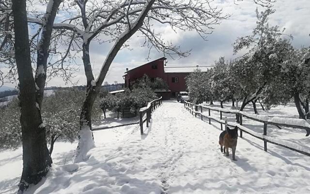 La Masseriola Agriturismo