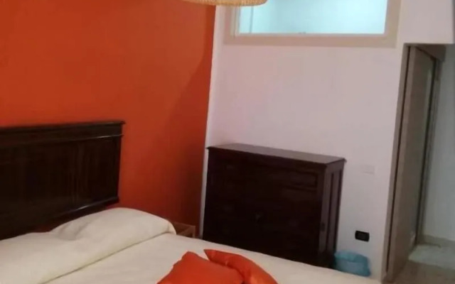 Spira Mirabilis Napoli