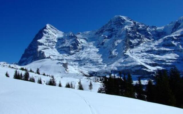 Hotel Bellevue Wengen - Best view in town