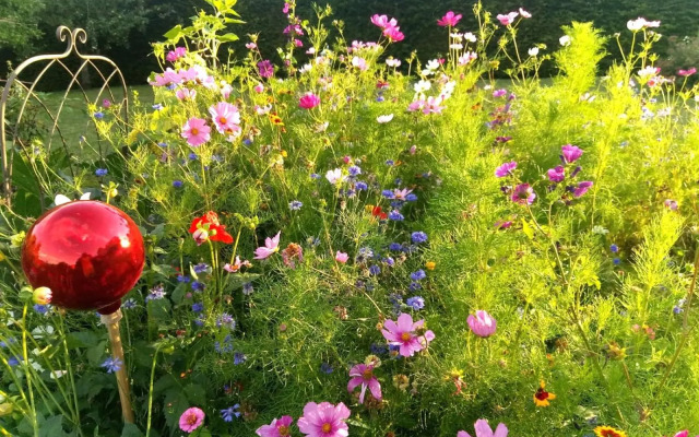 SEENAH - Ihre Wohnung am Bodensee / Untersee