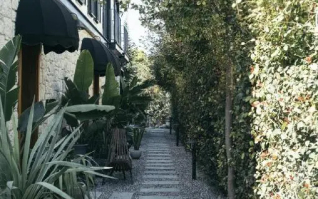 Primus Nefes Adults Only