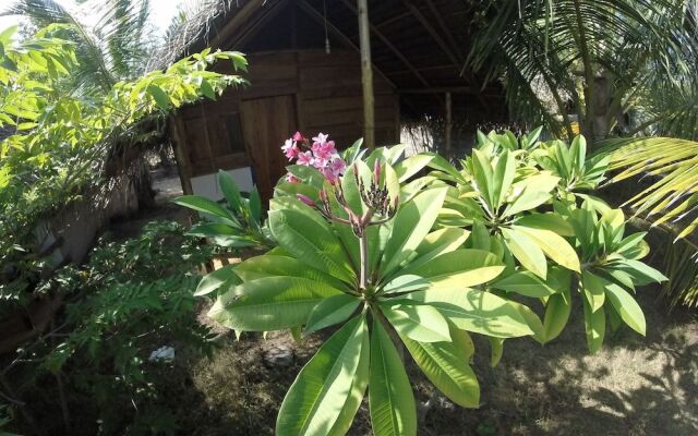 Safasurf Camp - Hostel
