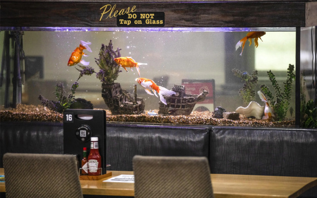 Nightcap at Federal Hotel Mt Gambier