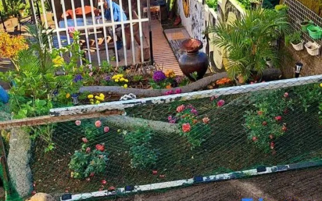 Wanay's Rocky Mountain Homestay