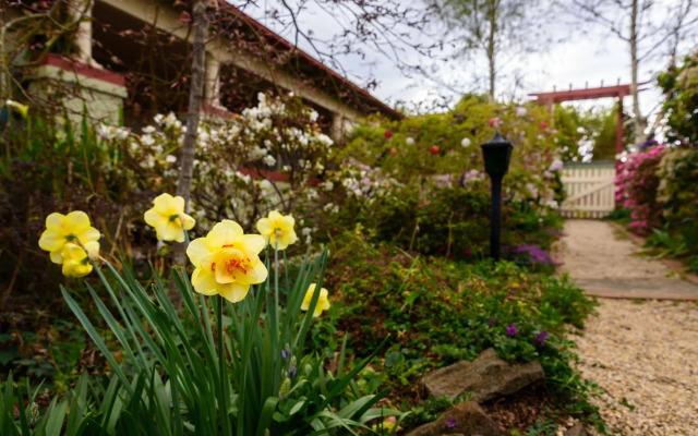 Shelton-Lea B&B