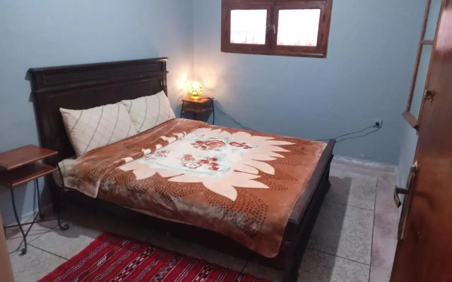 PalmTree