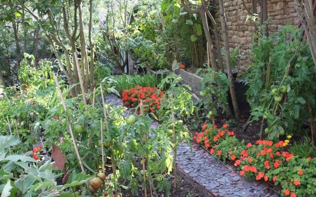 Ti Laouenek – Maison d'hôtes à Vannes