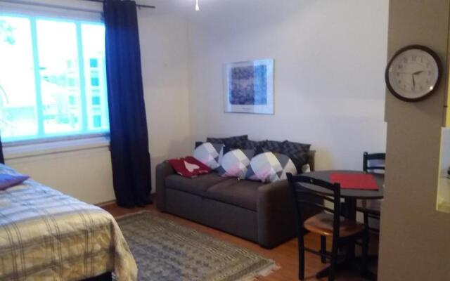 Cosy studio apartment