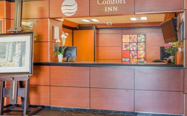 Quality Inn Toronto Airport