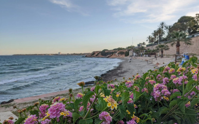 OASIS BEACH apartments