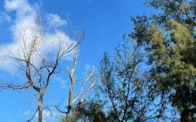 Yangjiang Beach House B&B