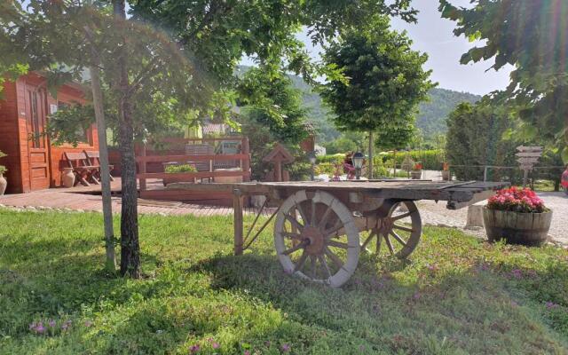 Agriturismo Il Timo
