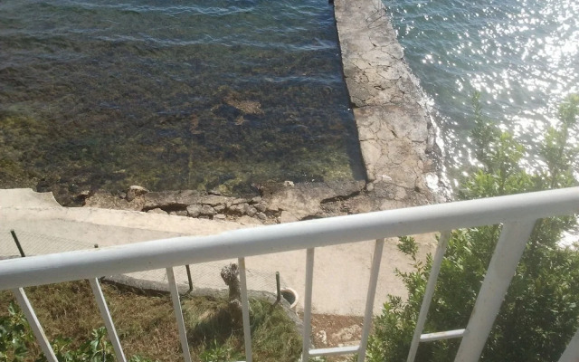 Dubravko - 5 m From Beach - A1 Bepina