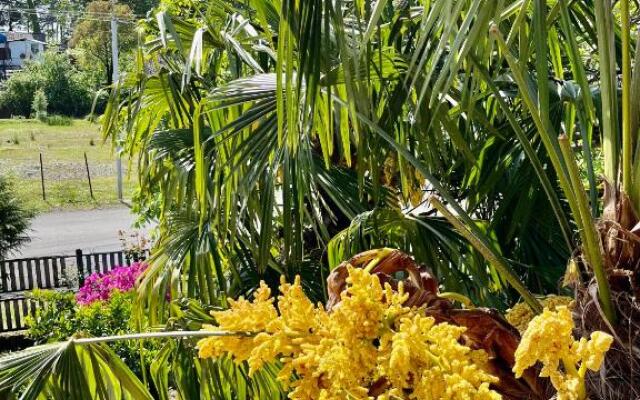 Ureki Beach Apartment