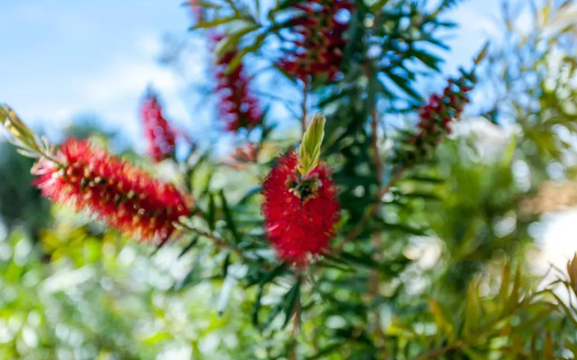 Villa Vista Anders Mar