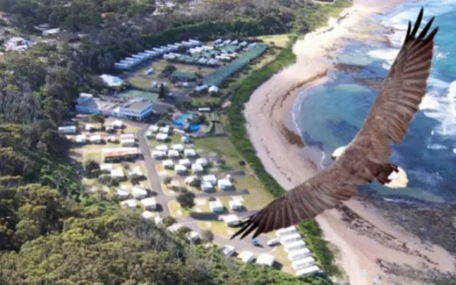 Blue Lagoon Beach Resort