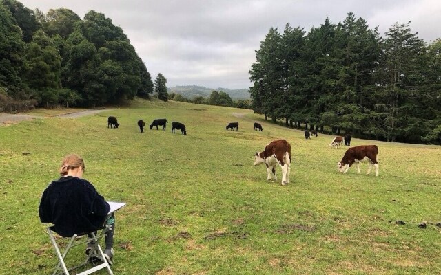 Lilyview Cottage - Robertson