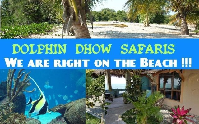 Dolphin Dhow Beach Safaris