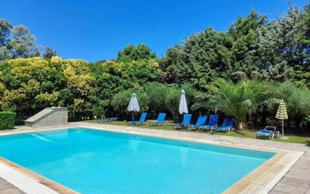 Lemontree Apartments