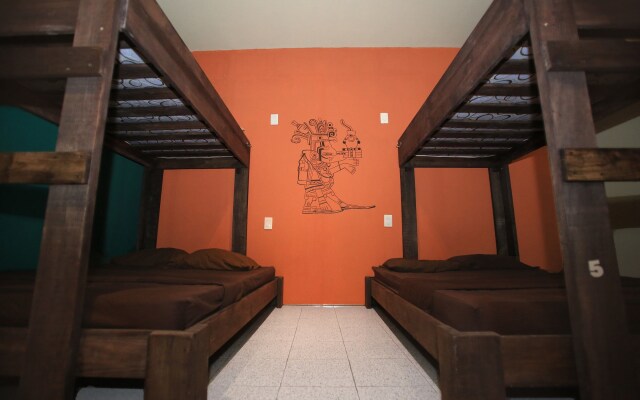 2tank Dive Hostel Cozumel