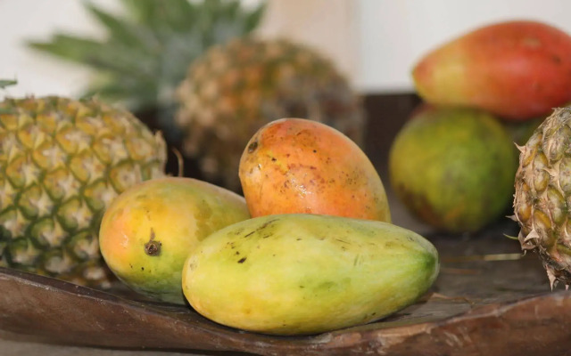 Mawe Resort Watamu Boutique Hotel
