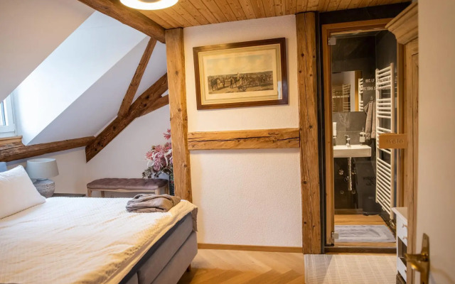 Moderne Altbauwohnung mit Pool und Sauna zentral in Bern