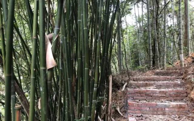 Xinghegu Ecological Resort