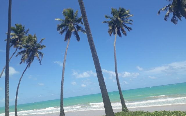Pousada Boneca De Pano