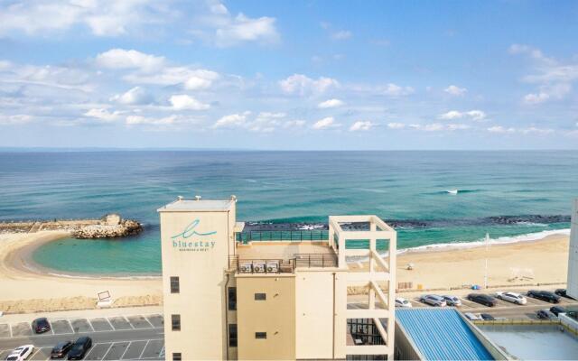 Gangneung Bluestay