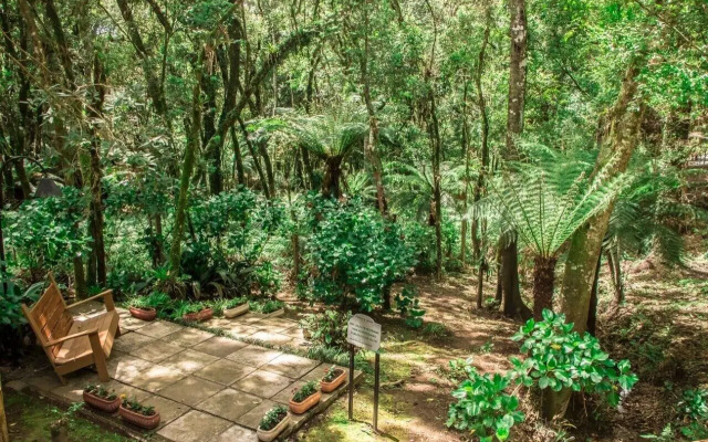 Residencial Jardim dos Pinheiros B