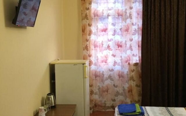 Viktoriya Guest House